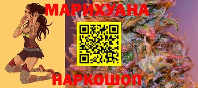 эйфоретик Малгобек